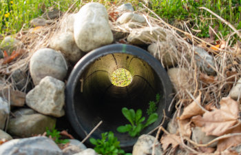 Recognizing the Early Signs of Drain Field Failure Cumming, GA