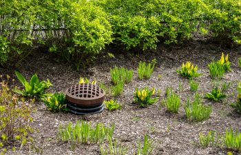 Round iron storm water drain in water retention pond, dry pond with new growth of spring leaves.